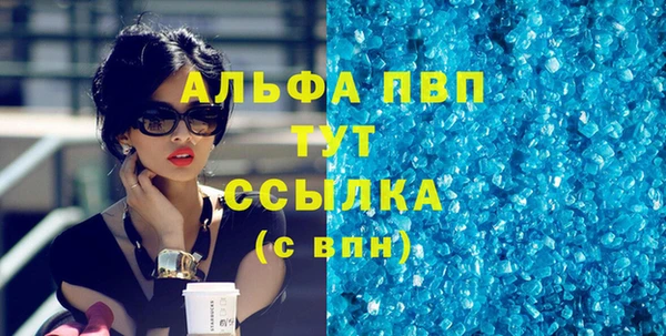 ГАЛЛЮЦИНОГЕННЫЕ ГРИБЫ Гусев
