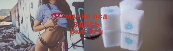 ГАЛЛЮЦИНОГЕННЫЕ ГРИБЫ Гусев