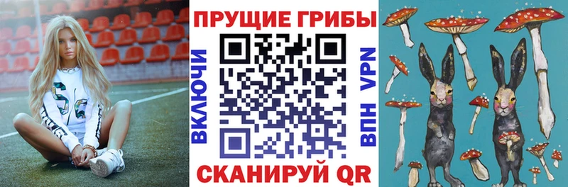 Галлюциногенные грибы Cubensis наркота Озёрск
